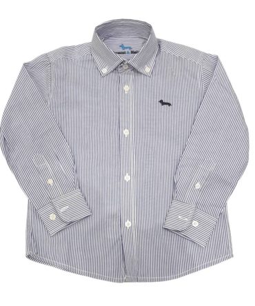 Camisas